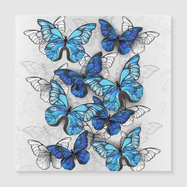 Invitación Magnética Composición de las mariposas blancas y azules (Anverso)