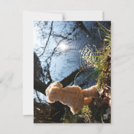 Invitación Magnética Grappige beer die ondeugend plast.