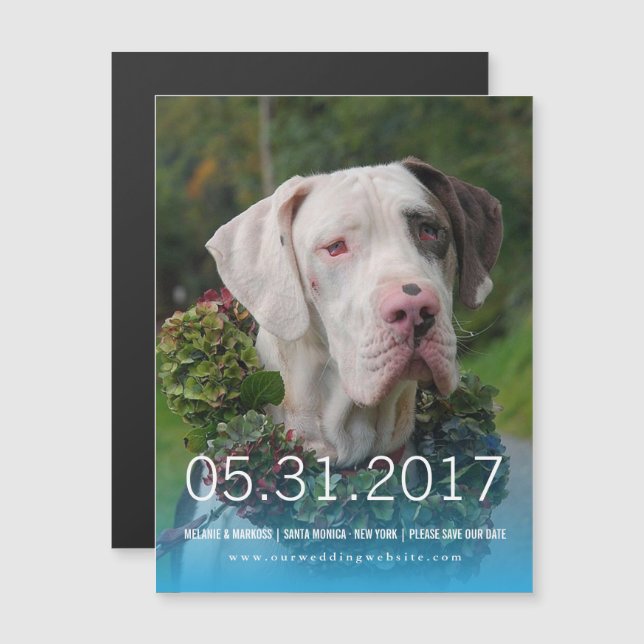 Invitación Magnética Great Dane Invite (Anverso/Reverso)