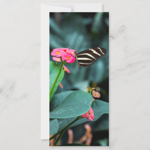Invitación Magnética Hermosa mariposa en una flor rosa