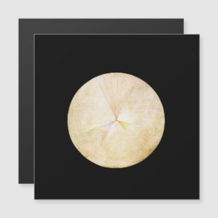Invitación Magnética Hilma Af Klint, El Cisne No. 14, Arte Resumen
