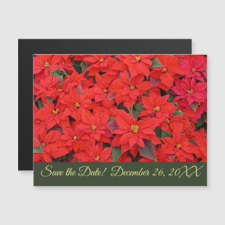 Invitación Magnética Los Navidades de Poinsettias Rojas celebran Save t