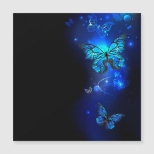 Invitación Magnética Mariposa morfo en el fondo oscuro