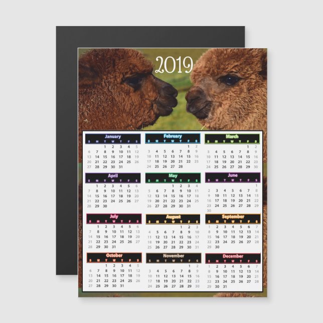 Invitación Magnética Mini calendario de 2019 alpacas divertidas (Anverso/Reverso)