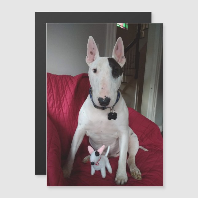 Invitación Magnética Rex The TV Terrier y Ditto Magnet (Anverso/Reverso)