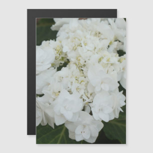 Invitación Magnética Un boda encantador vestido hidrangea