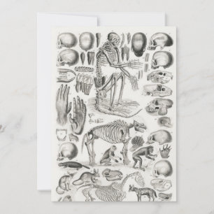 Invitación Mamalia de esqueleto animal blanco y negro