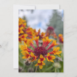 Invitación Manta India y Lengua de Abeja