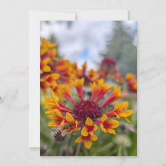 Invitación Manta India y Lengua de Abeja