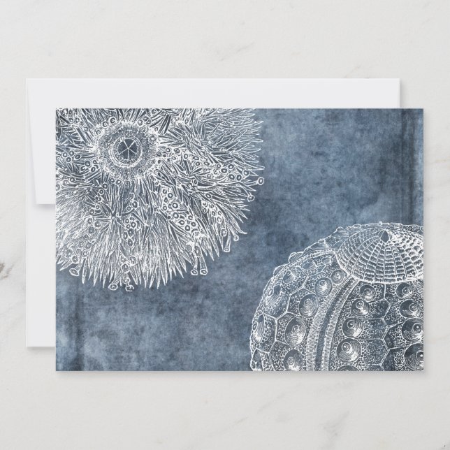 Invitación Mar Urchin acuarela Océano Marina Azul blanco (Anverso)