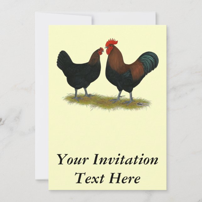 Invitación Marans Black Copper (Anverso)