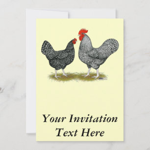 Invitación Marans: Cuckoo Pair