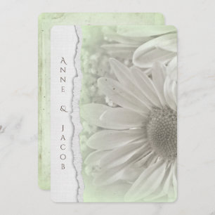 Invitación margarita en tono verde suave con borde de papel r