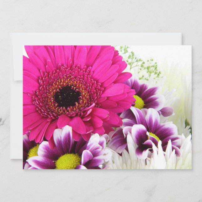 Invitación Margarita rosada del Gerbera (Anverso)