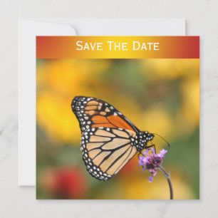Invitación Mariposa monarca en busca de polen