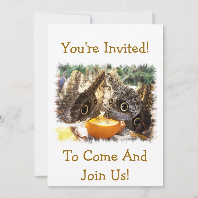 INVITACIÓN MARIPOSAS (Anverso)