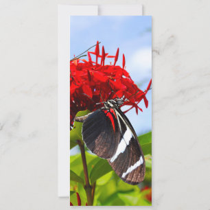 Invitación Mariposas de cebra con flores rojas