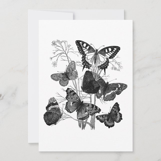 Invitación Mariposas negras y blancas antiguas (Anverso)