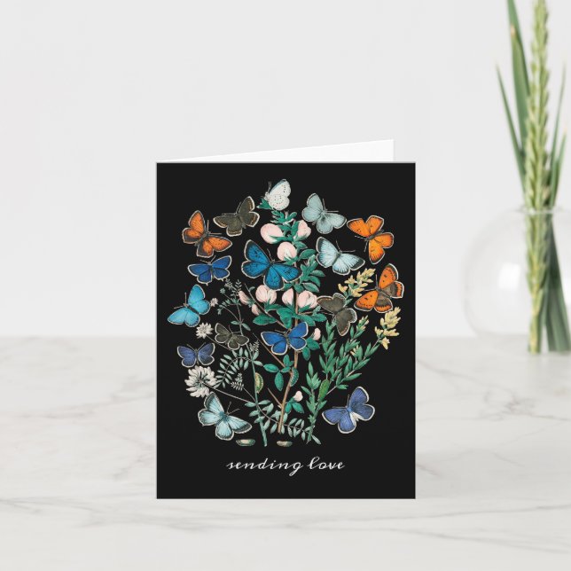 Invitación Mariposas y polillas antiguas Coloridas (Anverso)