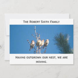 Invitación - Más allá de nuestro nido...