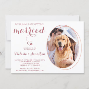 Invitación Mascota Foto Boda de perro Rosa oro personalizado