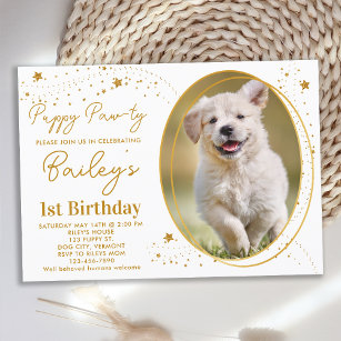 Invitación Mascota personalizado Foto Oro Estrellas Perro Cac