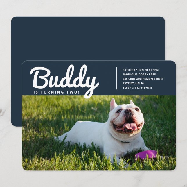 Invitación Mascota Personalizado moderno Foto Perro porcino C (Anverso / Reverso)