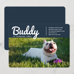 Invitación Mascota Personalizado moderno Foto Perro porcino C