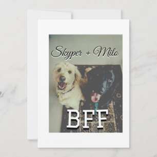Invitación Mascotas amigos bestias agregar nombre mascota fot