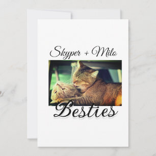 Invitación Mascotas amigos bestias agregar nombre mascota fot