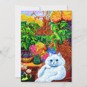 Invitación Master de Cat College