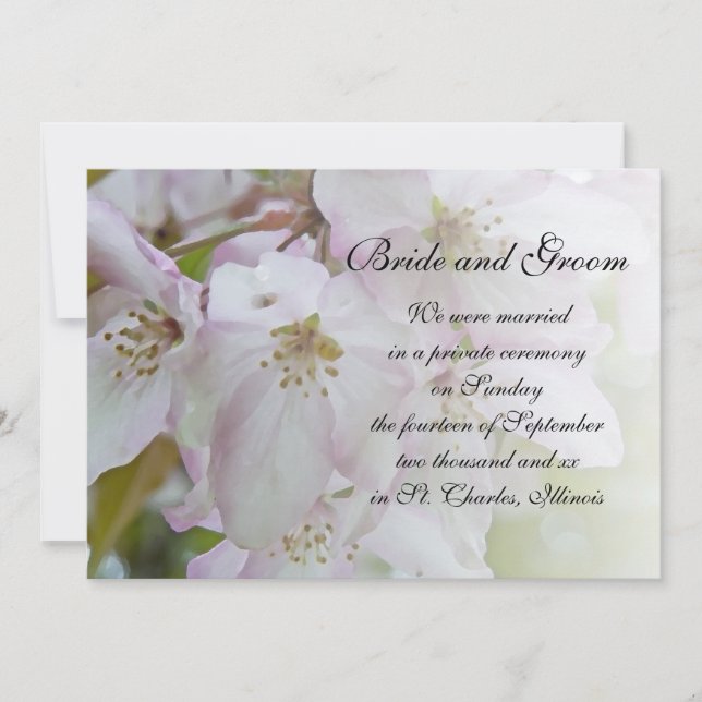 Invitación matrimonial de Crab Apple Blossoms (Anverso)
