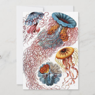 Invitación Medusas antiguas de Ernst Haeckel, Discomedusae