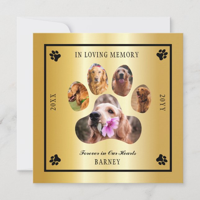 Invitación Memorial del Mascota de fotografía de memoria amor (Anverso)