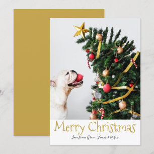 Invitación Merry Christmas Simple Fun Text Photo Card