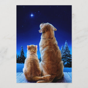 Invitación Milagro de Navidad de gato y perro