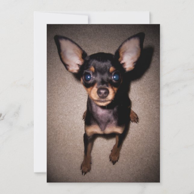 Invitación mini pinscher. (Anverso)