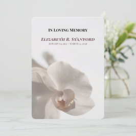 Invitación Minimalist White Orchid Memorial Program