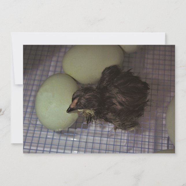 Invitación Minutos viejos (Anverso)