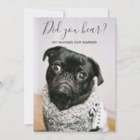 Mis humanos se casaron Foto de perro Boda Huida