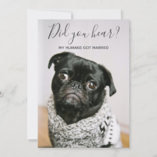 Invitación Mis humanos se casaron Foto de perro Boda Huida