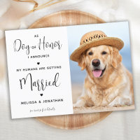 Mis Humanos Se Van a Casar Foto de Perro Doméstico