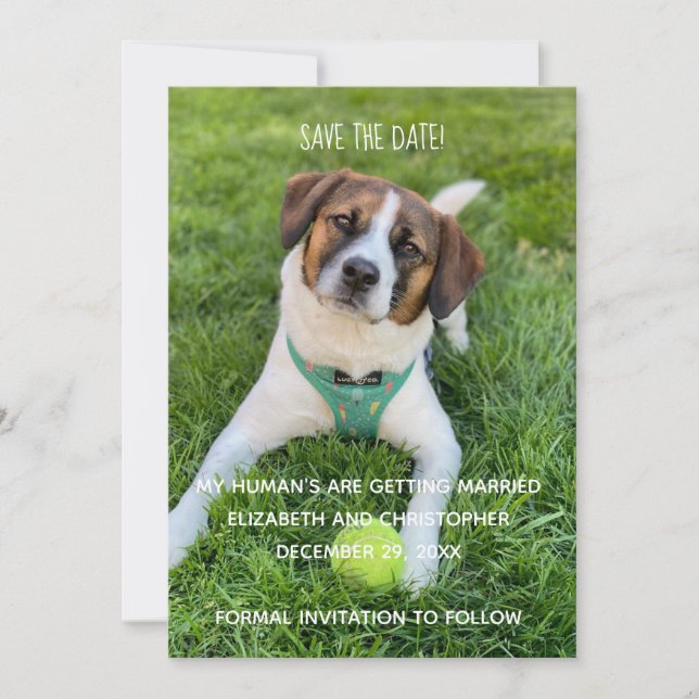 Invitación Mis Humanos Se Van a Casar Foto Guardar la Fecha (Anverso)