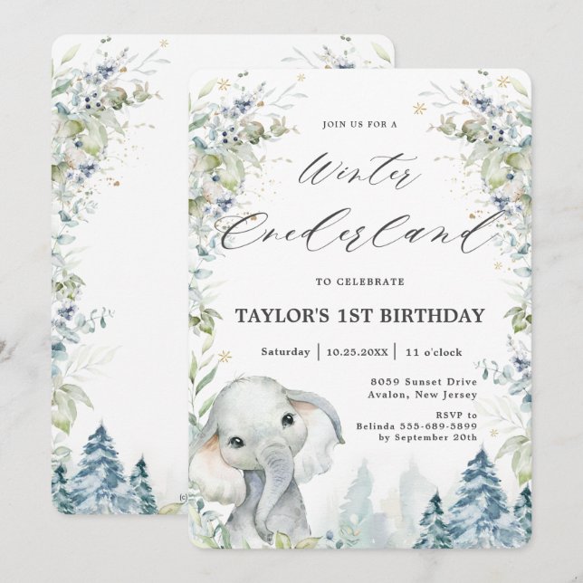 Invitación Moda Elephant Winter Onederland Primer cumpleaños (Anverso / Reverso)