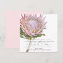 Moderna Floral Elegante Simple Flor Protea Rosa