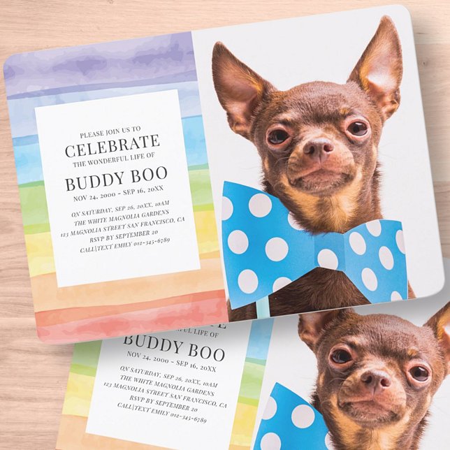 Invitación Moderno acuarela rayas de arcoiris Mascota conmemo (Subido por el creador)