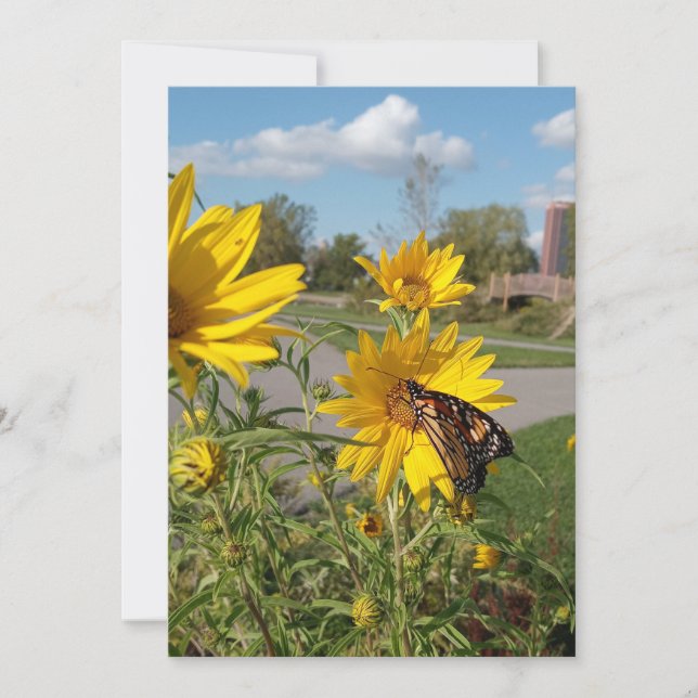 Invitación Monarca en Wilkeson Pointe Park (Anverso)