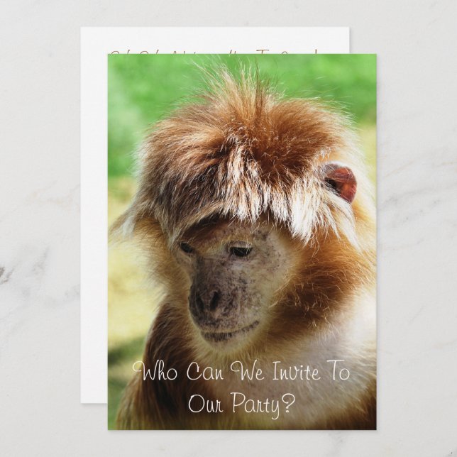 INVITACIÓN MONKEYS (Anverso / Reverso)