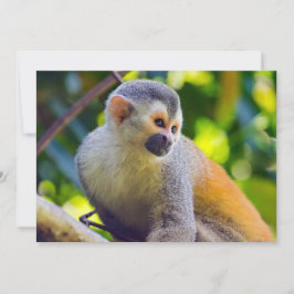 Invitación Mono ardilla en Manuel Antonio NP - Costa Rica