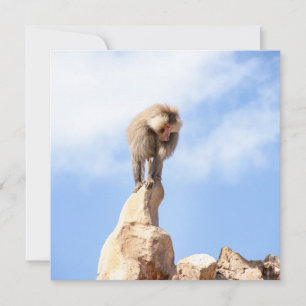 Invitación Mono babuino en la cima de una montaña
